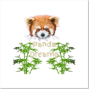 Red Panda Dreams Posters and Art